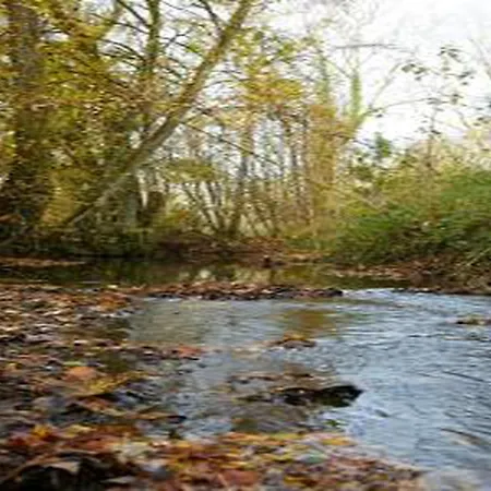 Apartamento In Grand Est Signy-lʼAbbaye