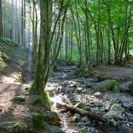 In Grand Est Signy-lʼAbbaye
