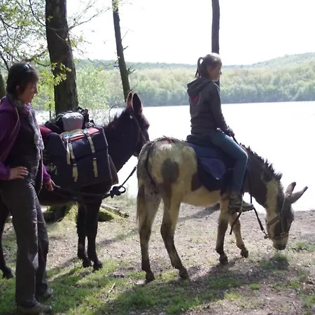 In Grand Est Apartamento