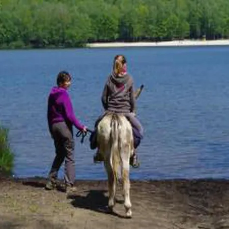 アパート In Grand Est