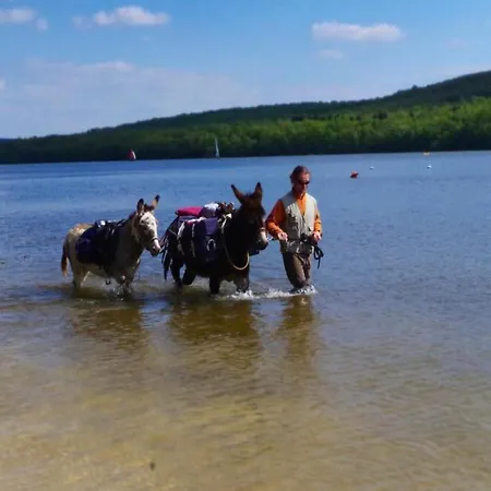 In Grand Est Apartamento Signy-lʼAbbaye