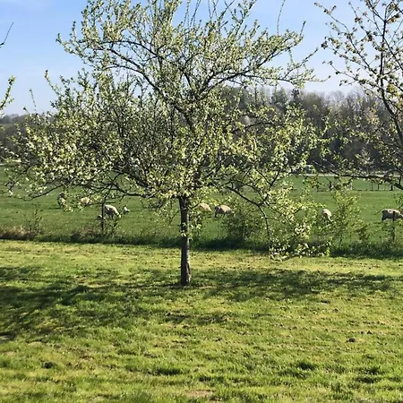 Apartamento In Grand Est