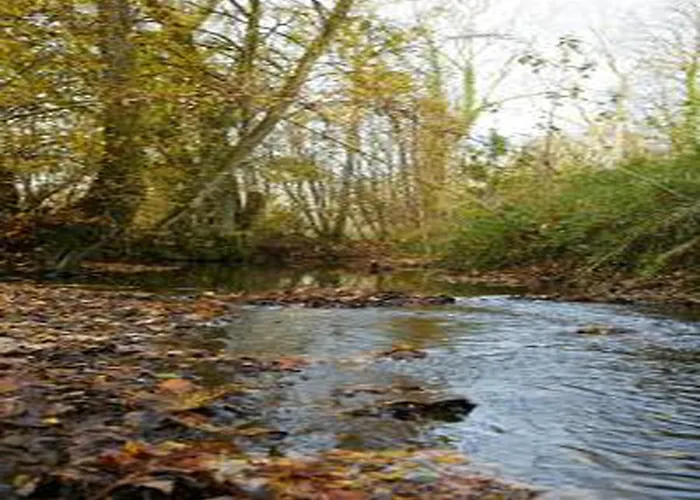 Apartment In Grand Est Signy-l'Abbaye