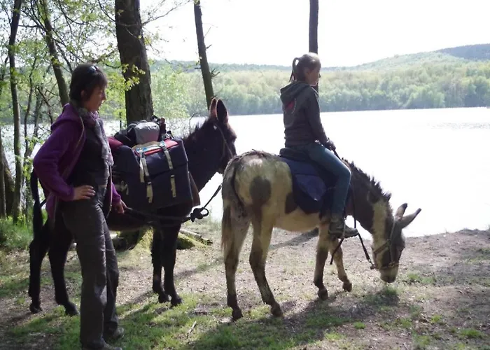 In Grand Est Apartment