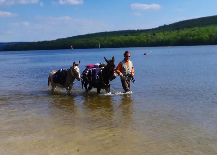 In Grand Est Apartment Signy-l'Abbaye