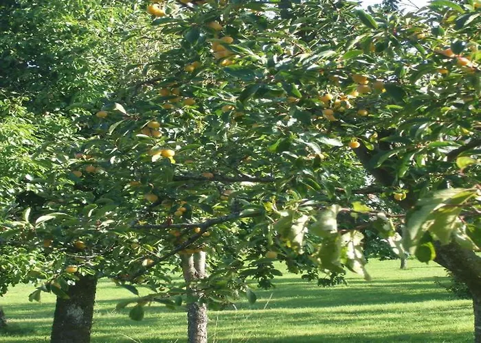 In Grand Est Apartment