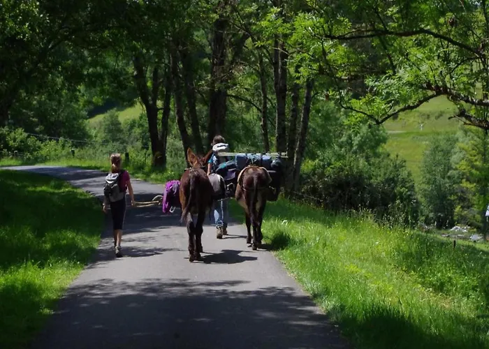 Apartment In Grand Est Signy-l'Abbaye