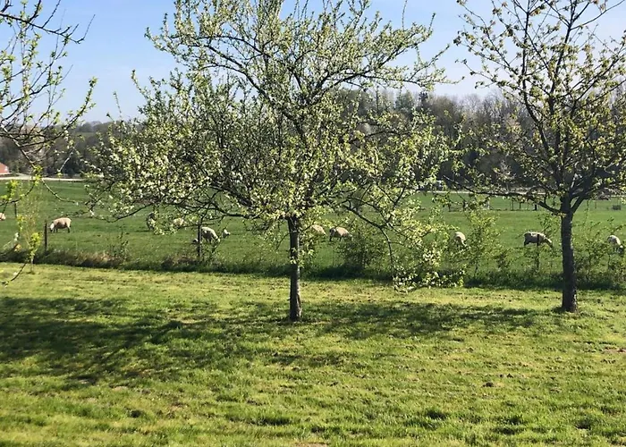 Apartment In Grand Est